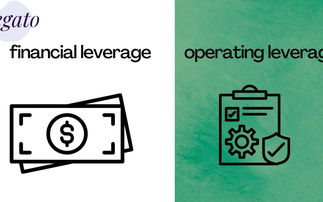 financial and operating leverage
