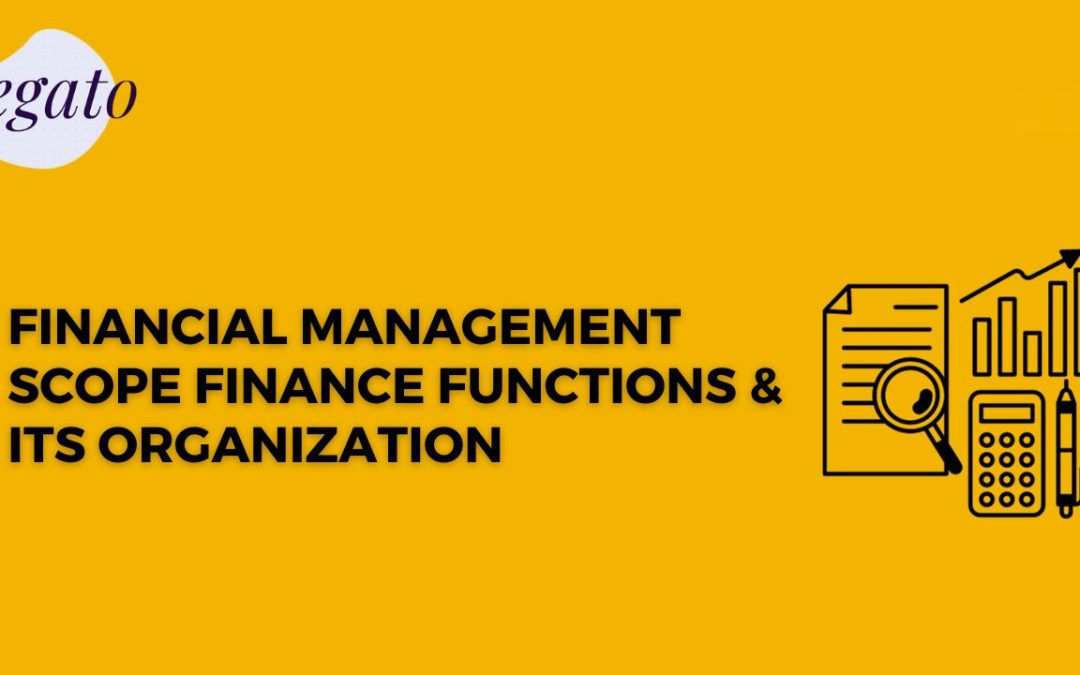 financial management scope finance functions & its organization