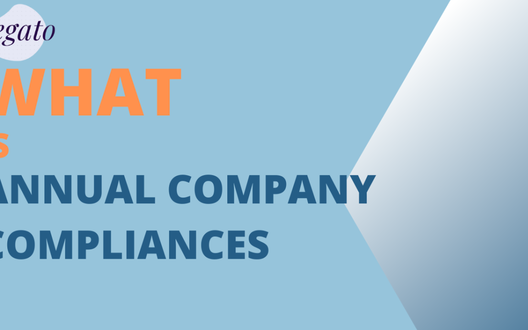 WHAT IS ANNUAL COMPANY COMPLIANCES (1)