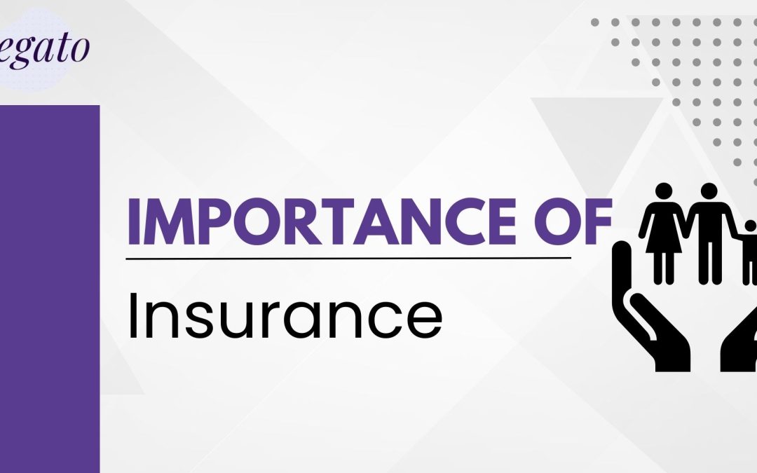 important of insurance