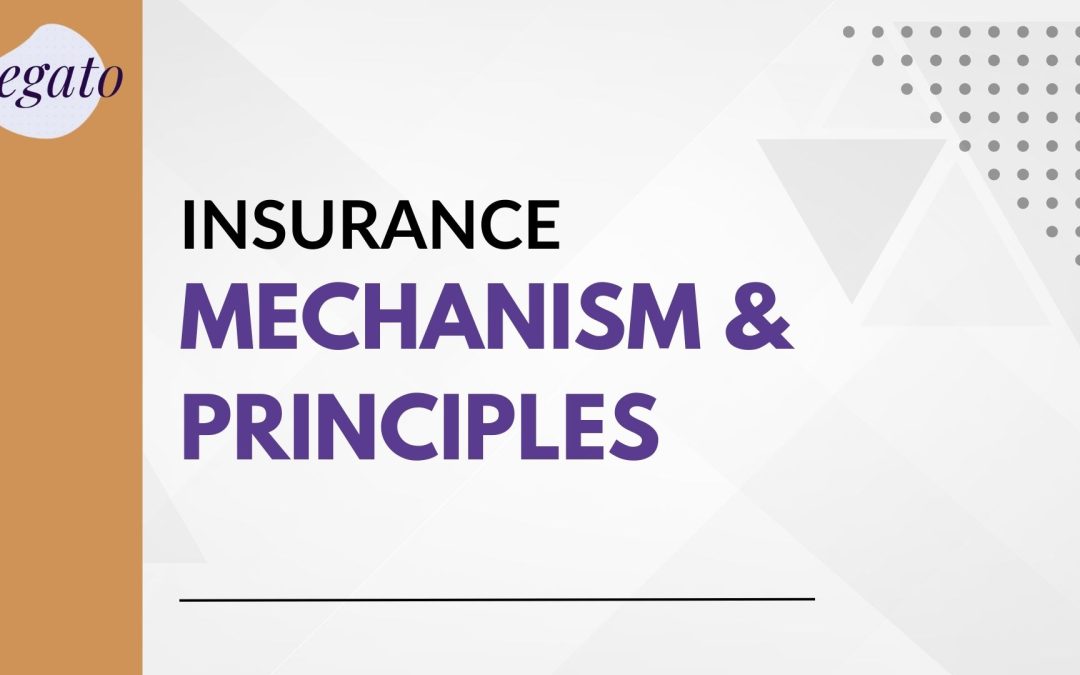 insurance , mechanism & principles