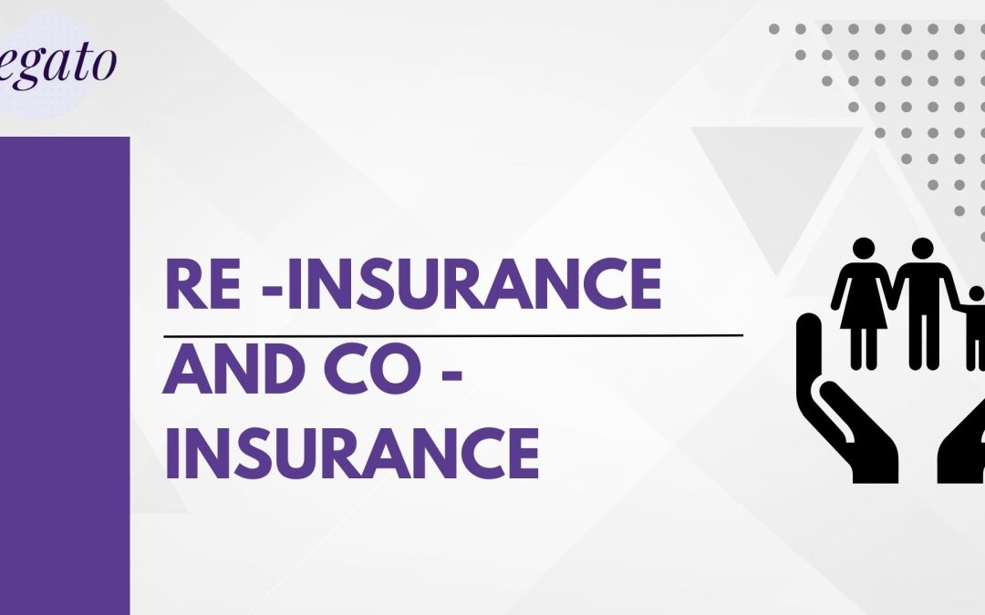 re insurance and co insurance